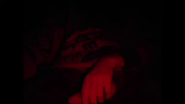 contemptumundi888 online show from 12/24/24, 09:55