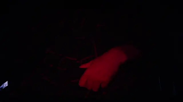 contemptumundi888 online show from 02/11/25, 03:51