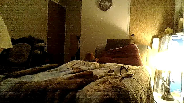 Snapshot of Jay81 chatting on 12/18/24, 09:04 Jay81 online show from 12/18/24, 09:04