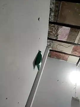 Snapshot of Masti441 chatting on 02/11/25, 10:26 Masti441 online show from 02/11/25, 10:26