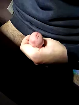 HardWolf2024 online show from 01/23/25, 08:56