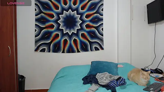 AshleyandTyler online show from 12/08/24, 03:43