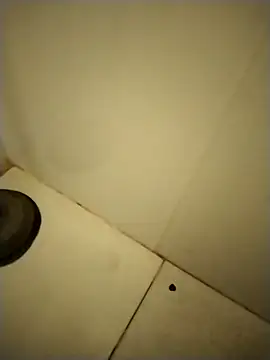 Snapshot of PracticalGum40 chatting on 12/12/24, 01:39 PracticalGum40 online show from 12/12/24, 01:39