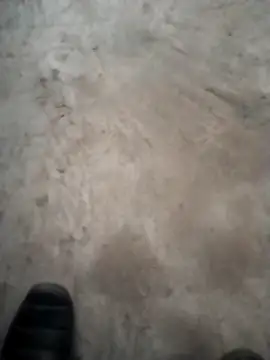 Snapshot of PracticalGum40 chatting on 12/18/24, 04:49 PracticalGum40 online show from 12/18/24, 04:49