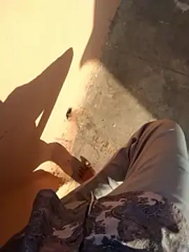 Snapshot of PracticalGum40 chatting on 01/11/26, 03:33 PracticalGum40 online show from 01/11/26, 03:33