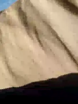 Snapshot of CptDickX258 chatting on 01/12/25, 05:22 CptDickX258 online show from 01/12/25, 05:22