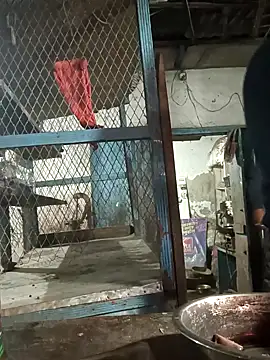 Snapshot of Skinny_Bigass_23 chatting on 02/10/25, 02:59 Skinny Bigass 23 online show from 02/10/25, 02:59