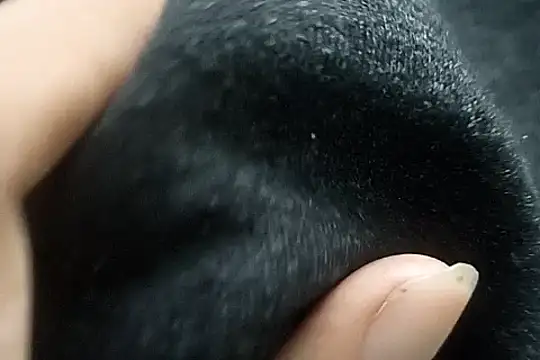 Snapshot of Telugu_sollakaya chatting on 12/02/24, 06:43 Telugu sollakaya online show from 12/02/24, 06:43