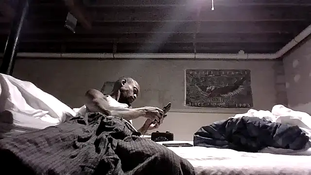 Snapshot of KinGKane84 chatting on 12/24/24, 06:44 KinGKane84 online show from 12/24/24, 06:44