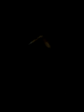 DaWoD030 online show from 01/19/25, 05:18