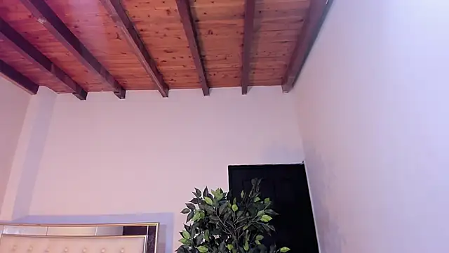 im sebaslopez online show from 01/17/26, 08:01