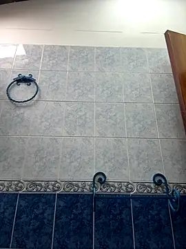 ellie mcdonald online show from 11/27/25, 03:58