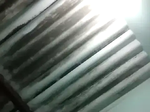 maximo vega newv online show from 01/06/25, 10:58