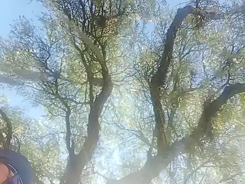 Darly Gomez online show from 12/22/24, 03:22