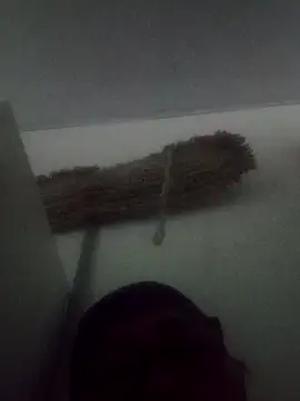 Darly Gomez online show from 02/09/25, 05:33