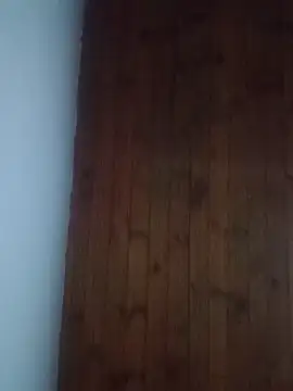 Darly Gomez online show from 02/18/25, 11:52