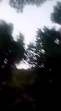 Snapshot of Danna-linyi chatting on 12/20/24, 11:37 Danna-linyi online show from 12/20/24, 11:37