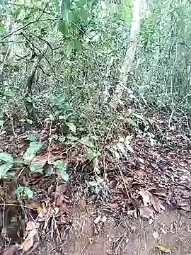 Snapshot of Danna-linyi chatting on 03/01/25, 08:10 Danna-linyi online show from 03/01/25, 08:10