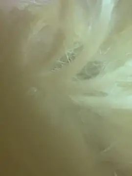 CherryEmmy online show from 10/27/25, 07:18