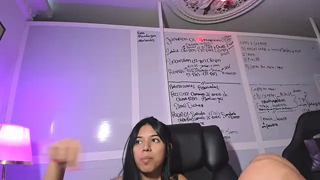 Snapshot of briambrows chatting on 01/24/25, 03:00 briambrows online show from 01/24/25, 03:00