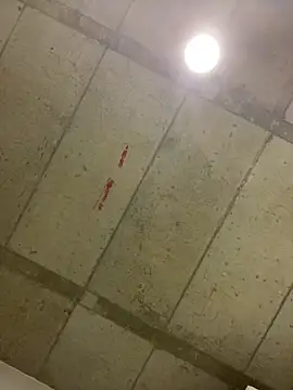 Snapshot of fathomless chatting on 11/02/25, 02:14 fathomless online show from 11/02/25, 02:14