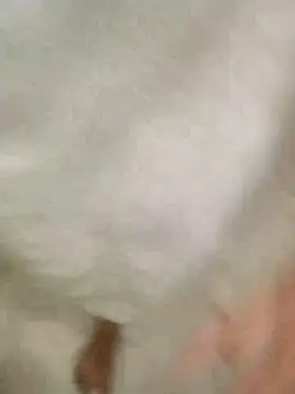 Bombi22 online show from 12/30/24, 08:15