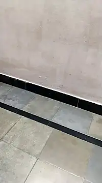 bhavanitelu online show from 03/08/25, 12:09