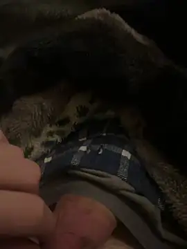 Snapshot of hamoo23p chatting on 02/22/26, 02:45 hamoo23p online show from 02/22/26, 02:45