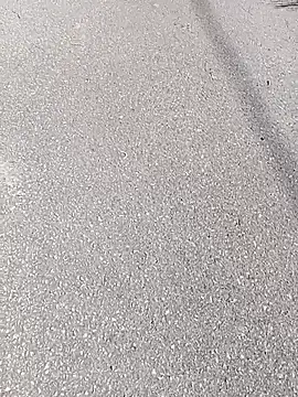 Eleni Pappa online show from 03/11/26, 10:21