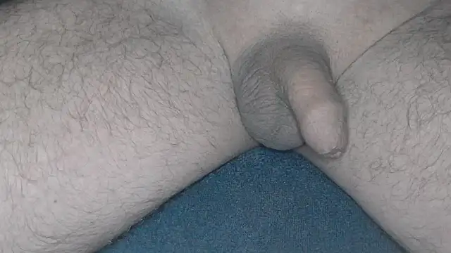 Snapshot of cs1512 chatting on 02/26/25, 04:36 cs1512 online show from 02/26/25, 04:36