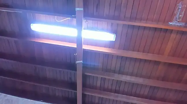 jeicob gagnon online show from 03/13/25, 06:34