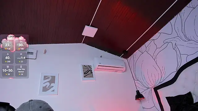 Samir bear online show from 11/20/25, 12:49