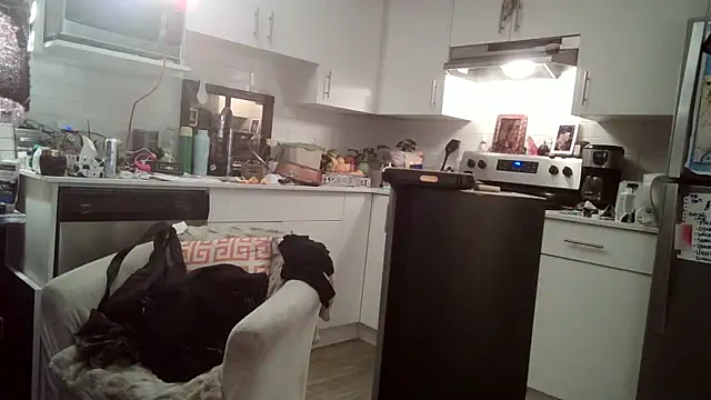 Snapshot of SilverandFox chatting on 03/11/25, 11:44 SilverandFox online show from 03/11/25, 11:44