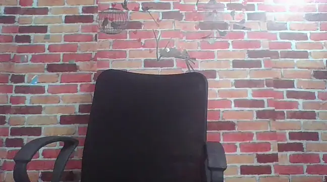 telugu indhu 0001 online show from 12/24/24, 12:44