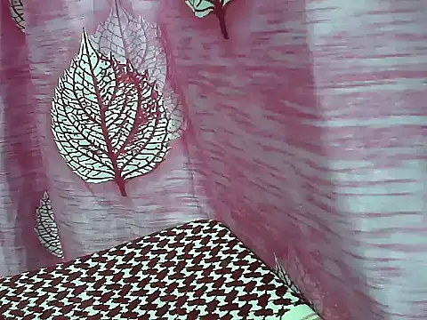 Snapshot of telugu_indhu_0001 chatting on 03/04/26, 05:41 telugu indhu 0001 online show from 03/04/26, 05:41