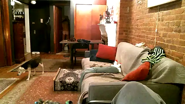 Snapshot of Johnny_Bottoms chatting on 12/21/24, 01:04 Johnny Bottoms online show from 12/21/24, 01:04