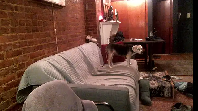 Snapshot of Johnny_Bottoms chatting on 09/24/25, 11:19 Johnny Bottoms online show from 09/24/25, 11:19