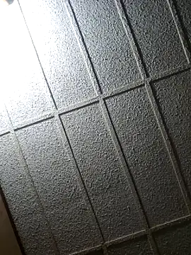 zaneporter46 online show from 02/08/25, 04:04