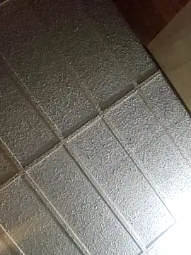 zaneporter46 online show from 02/16/25, 02:21