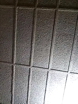 zaneporter46 online show from 03/14/25, 05:59