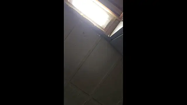 zaneporter46 online show from 03/29/26, 12:21