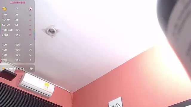 Snapshot of MommyHelpsmee chatting on 03/05/25, 05:07 MommyHelpsmee online show from 03/05/25, 05:07