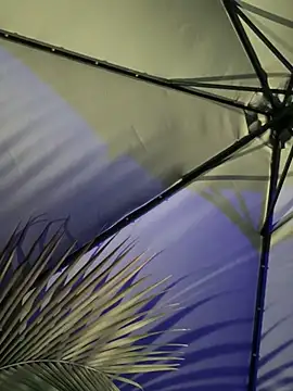 Mariapaula online show from 03/07/25, 12:58