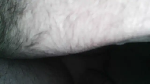 Snapshot of henry_county_couple2 chatting on 04/30/26, 04:41 henry county couple2 online show from 04/30/26, 04:41