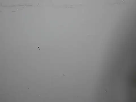 GoddessGlide online show from 03/16/25, 11:16