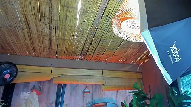 Snapshot of MarcoVitto chatting on 11/18/25, 07:29 MarcoVitto online show from 11/18/25, 07:29