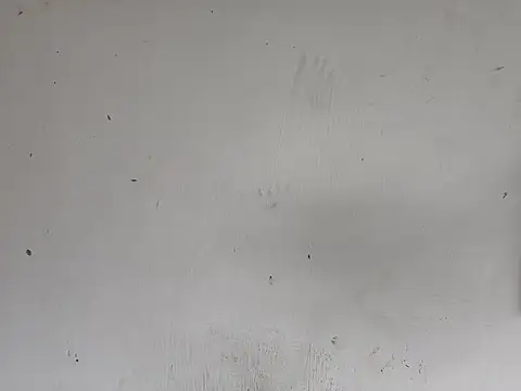 Snapshot of fs_carioca chatting on 12/02/25, 08:26 fs carioca online show from 12/02/25, 08:26