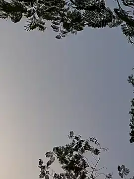 Snapshot of Whitehouse01 chatting on 12/29/24, 01:56 Whitehouse01 online show from 12/29/24, 01:56