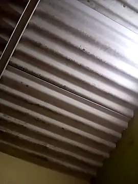 Piya Ji online show from 03/03/25, 08:49