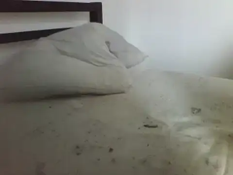 horndude187187 online show from 01/01/25, 11:05